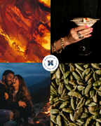 "Golden Santal" - Warm