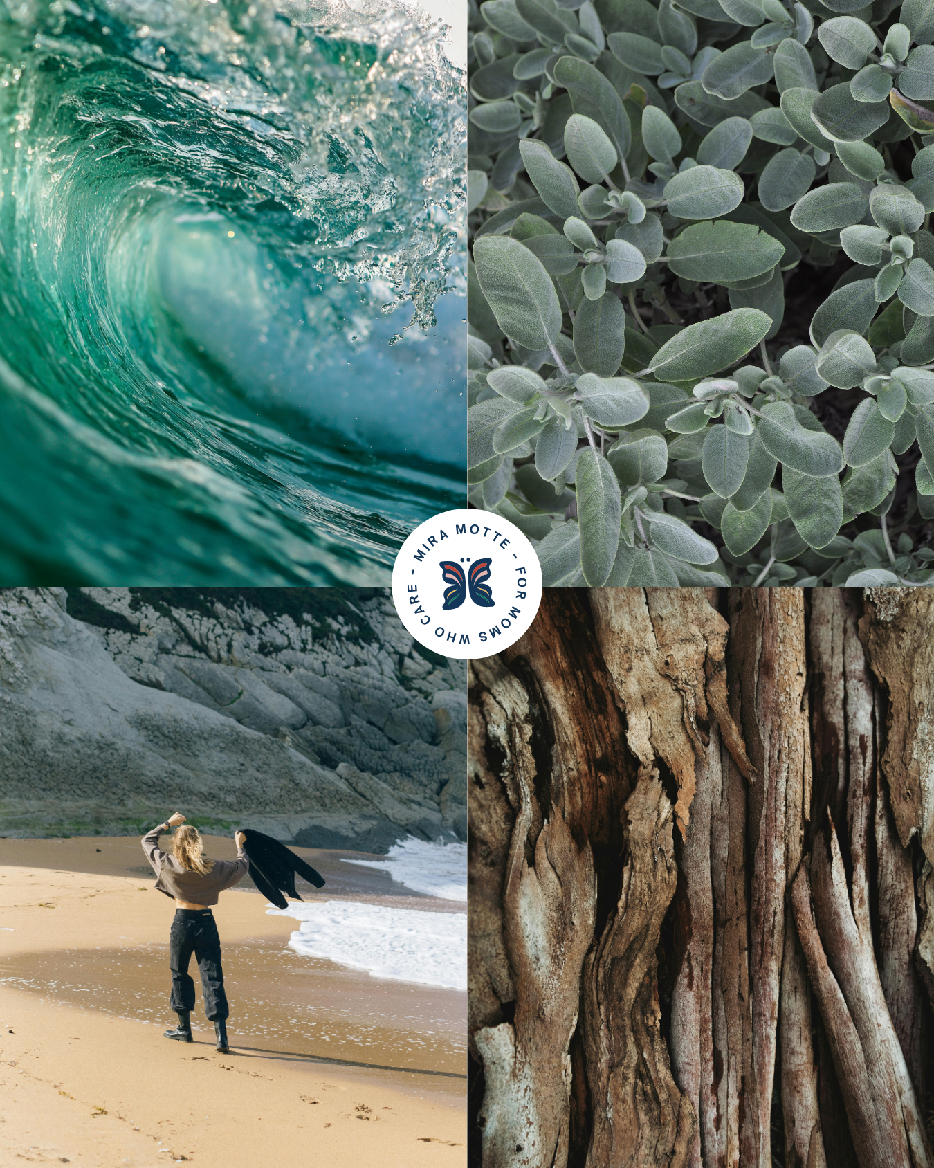 "Shoreline" - Coastal