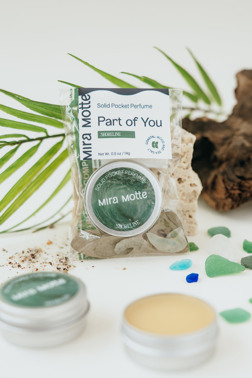 "Shoreline" - Coastal