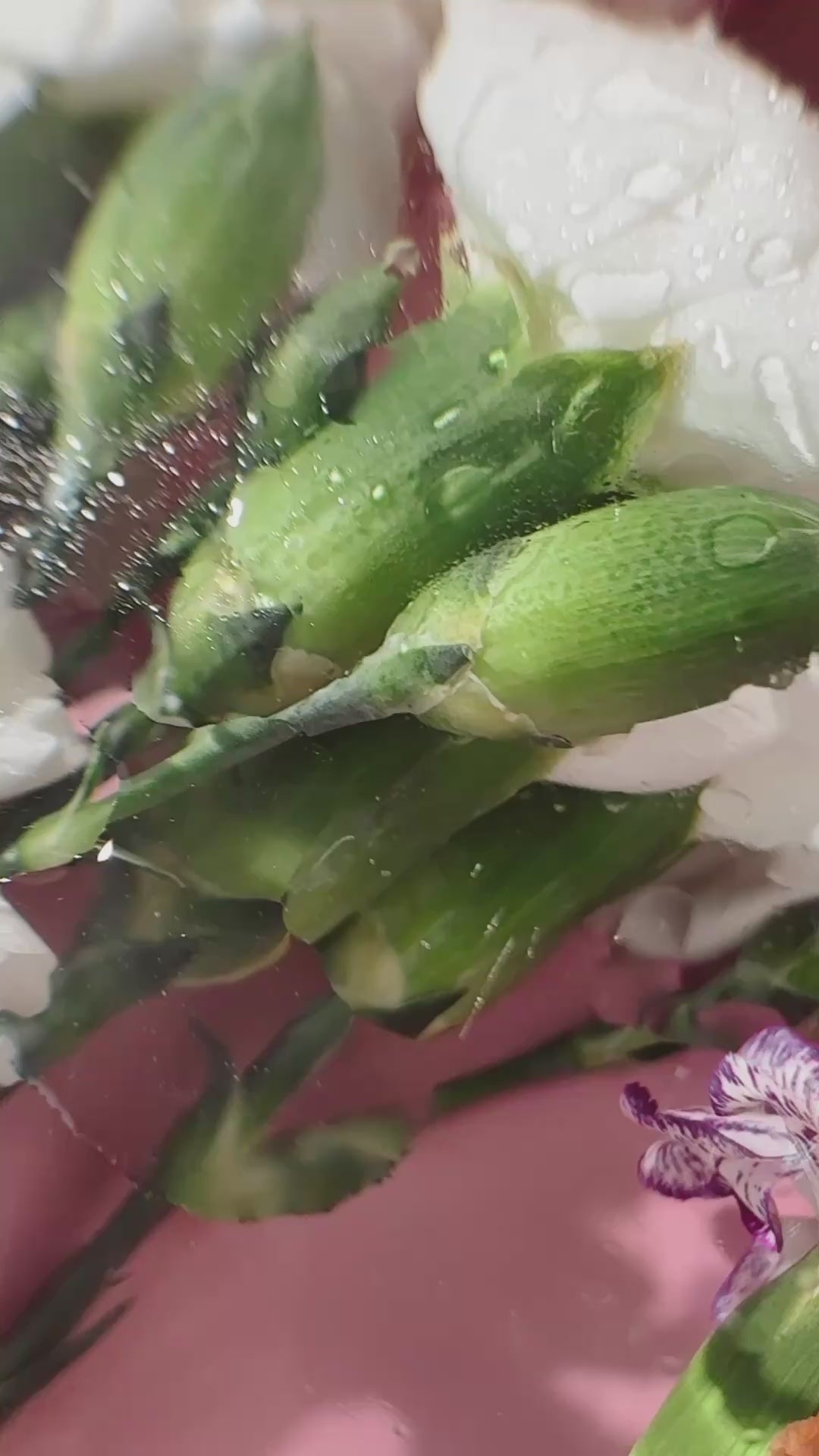 video of mira motte miracle glow toner